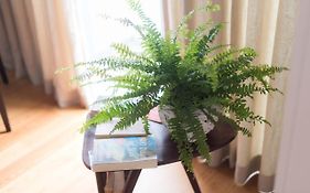 Apartamentos Santa Maria by Heart of Funchal